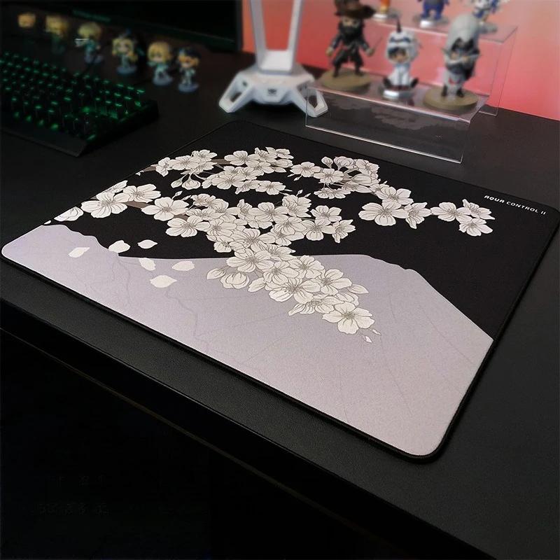 X-Raypad Aqua Control 2 peles paliktnis