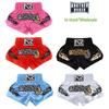 Anotherboxer Kids' Muay Thai Sanda Summer Training & Competition Shorts