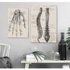 Human Anatomy Wall Art Hospital Vintage Posters and Prints Doctor Office Decoration Skeleton Anatomical Skull Canvas Painting