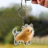 1pcs Dog Hair Key Chain Pet Hair Keychain Keepsake Storage Container Pendant Box For Wallet Purse Girls Men Women Boys