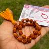 LAB CERTIFIED 27+1 Guru Bead Indian Origin Natural Rudraksha Mala 5 Mukhi 5 Faces Lord Shivas Rosary Jaap Mala, Pocket Mala, Bracelet