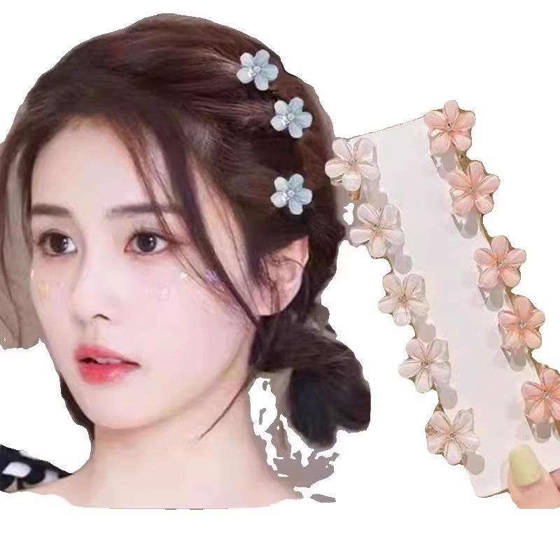 Princess Mini Claw Hair Clips for Women - Summer Side Bang Accessory