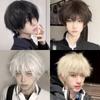 Hitzebeständige Anime Herren Perücken Synthetisches Haar Männliche Cosplay Perücke Vollkopf Kurz Gerade Perücke Party