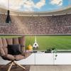 Photomural Soccer Stadium Structural Vinyl 450x300