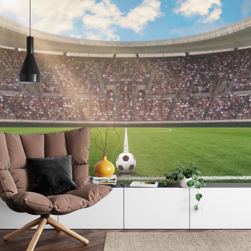 Photomural Soccer Stadium Structural Vinyl 450x300