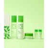 Nature Republic Clear Green Tea Water Skincare Set