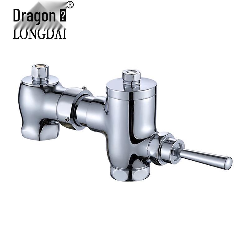 Longdai Squat Toilet Delay Flush Valve