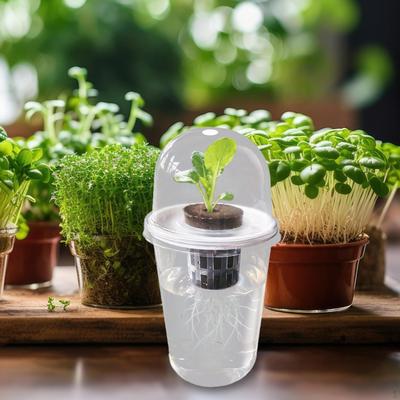 Hydroponický pěstební systém Kit Hydroponické potřeby Vnitřní Venkovní Klíčení rostlin Výsadba
