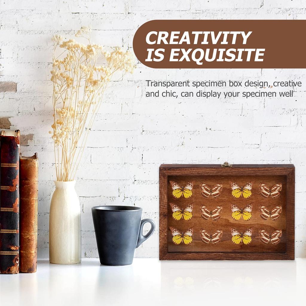 Cabilock 1-Piece Butterfly Specimen Display Case with Lid, Wooden Specimen Box