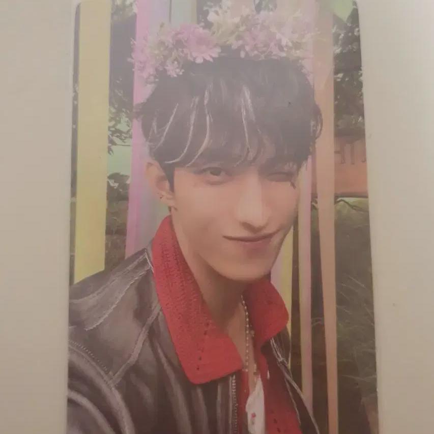 

Seventeen Dokyum Foca Sales