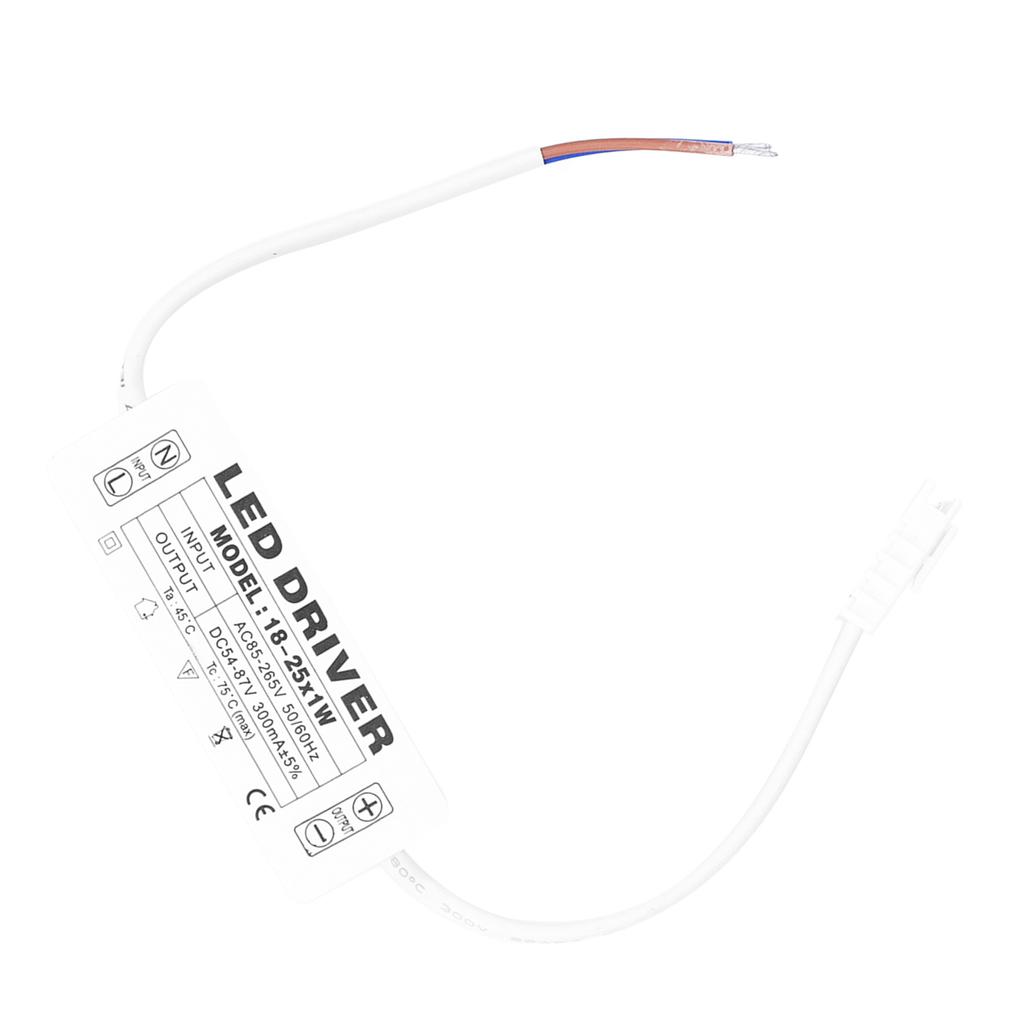 18‑25X1W LED Driver Constant Current 300mA Input AC85‑265V Output 54‑87VDC LED Driver Transformer