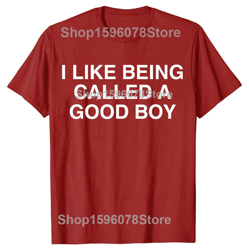 

Funny I Like Being Called A Good Boy Sarcastic Meme Joke T Shirts Men Cotton Streetwear Tee Short Sleeve Unisex Loose Clothing S