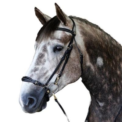 Whitaker Pick N Mix Leather Straight Horse Headpiece