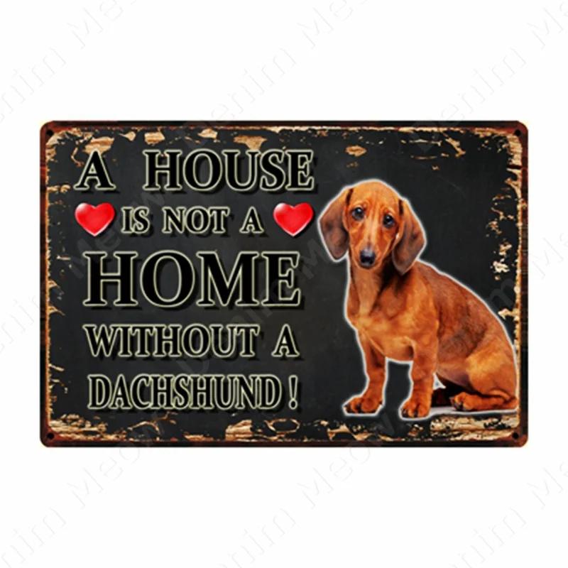 A House Is Not A Home Without A Dog Plaque, Vintage Metal Tin Signs, Bar, Cafe, Home Decor, Springer Spaniel, Wall Art Poster