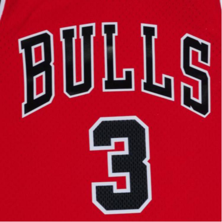 Mitchell Ness x Nba Chicago Bulls 2016-17 Dwyane Wade jersey JY7933-CBUSCAR