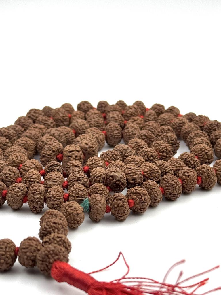 Certified 9 Mukhi Rudraksha Mala 108+1 Beads | Authentic Japa Mala for Meditation & Spiritual Practice | Powerful Nav Durga Energy Beads