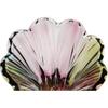 Flower Vase Phoenix Tail Shape Thickened Crystal Glass For Home Decor, Wedding Or Giftsize25cm Less