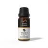 Ananta Vitamin E Essential Oil 10 Ml – Natural Oil for Skin Care, Hair Care & Aroma Use
