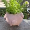 Niedlicher Cartoon-Sparschwein-förmiger Grünpflanzen-Topf, kreativer einfacher Sukkulenten-Blumentopf, Hausgarten-Gartendekoration