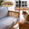 Gatos – Cuidados de gatos