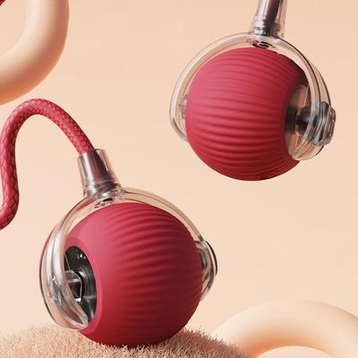 Cat Interactive Ball Toy Automatic Rolling Ball with Tail Rechargeable Smart Pet Interactive Toy Intelligent Mouse for Cat