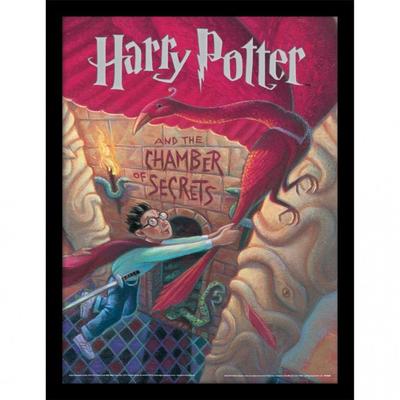 The Chamber Of Secrets Framed Poster