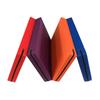 OENY Folding Gymnastics and Dance Training Mat
