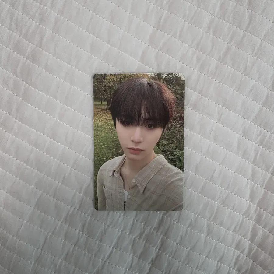 

BOYNEXTDOOR Продает Taesan How Foca