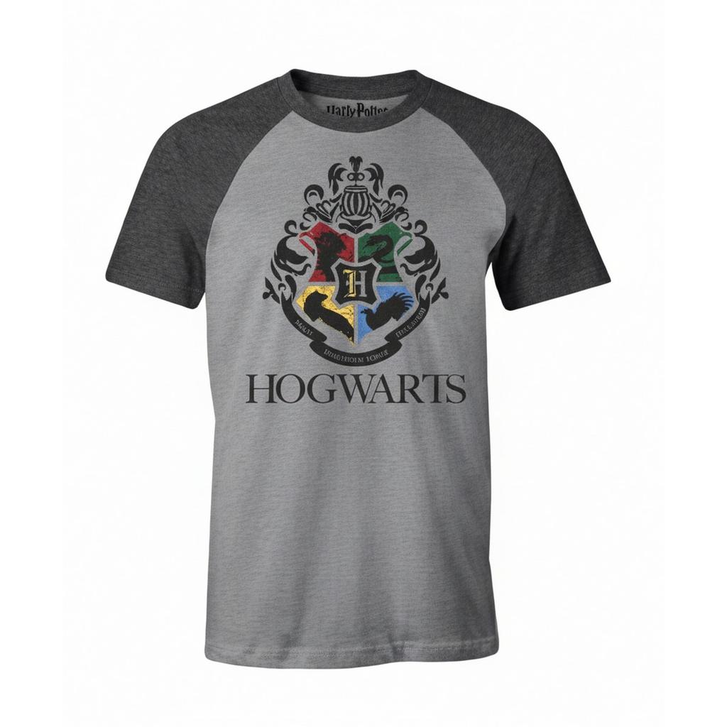 Harry Potter Mens Academic Hogwarts T-Shirt