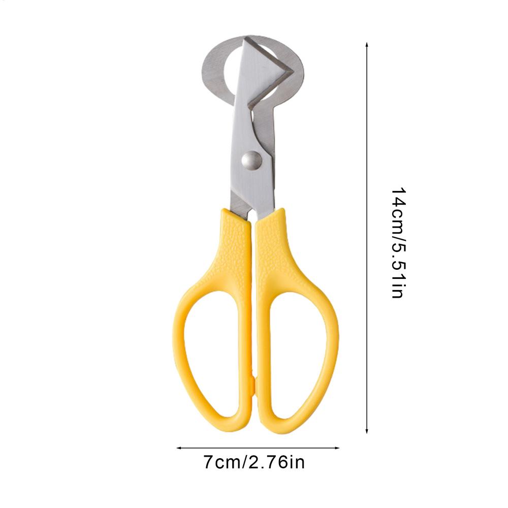 Forbici per Uova di Piccoli Uccelli (Piccioni, Quaglie) Taglio Aperto Guscio d'Uovo Separatore Guscio d'Uovo Uccello Tagliasigari Apribottiglie Pinza Strumenti da Cucina
