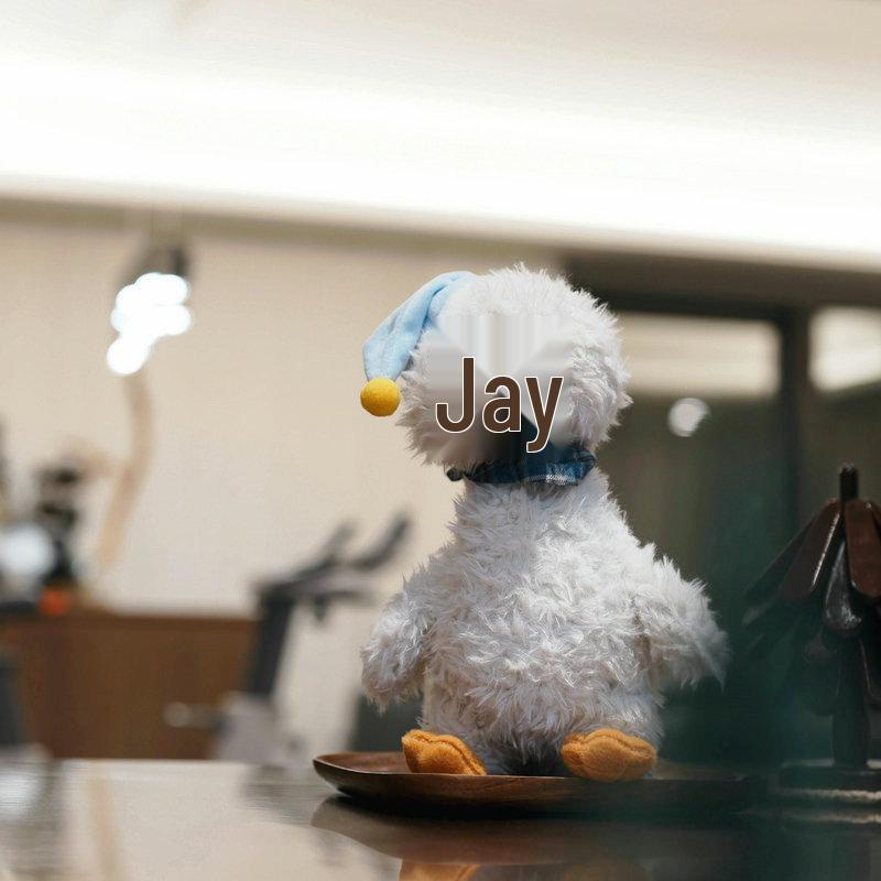 Adorable Duck Plush Toy