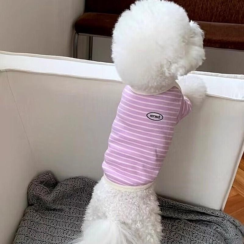 Dog Clothes for Small Dogs Cotton Dog Vest All Seasons Soft Dog Undershirt Chihuahua Bichon Costume Puppy Hoodie Dog T-Shirt