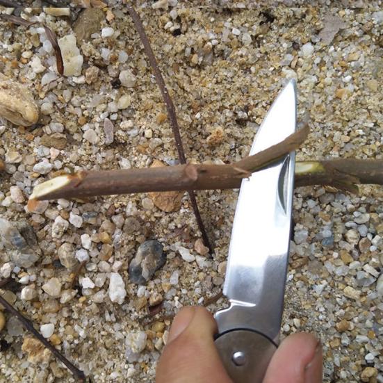 Foldable Knife High Hardness Sharp Blade Wrench Tail Opener Wear-Resistant Rust-proof 3 In 1 Folding Cutter Camping Supply