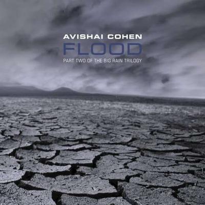 CD AVISHAI COHEN Flood ANZ5102 Anzic 2008 US Jazz Gebraucht