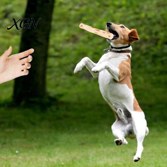 Interaktives Hundespielzeug für drinnen Kaffeoholz Kauspielzeug, Holz Welpen Zahnen Natürlicher Angstlindernder Stick, Zahngesundheit Spielzeug Klein Mittel