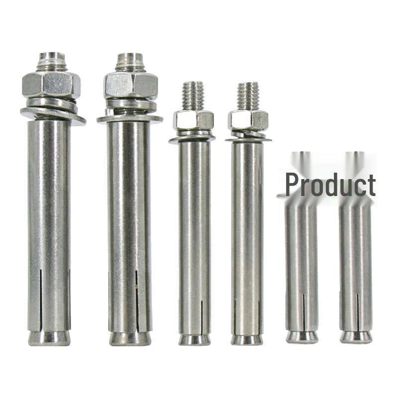 Bingyu 304 Stainless Steel Expansion Anchor Bolt