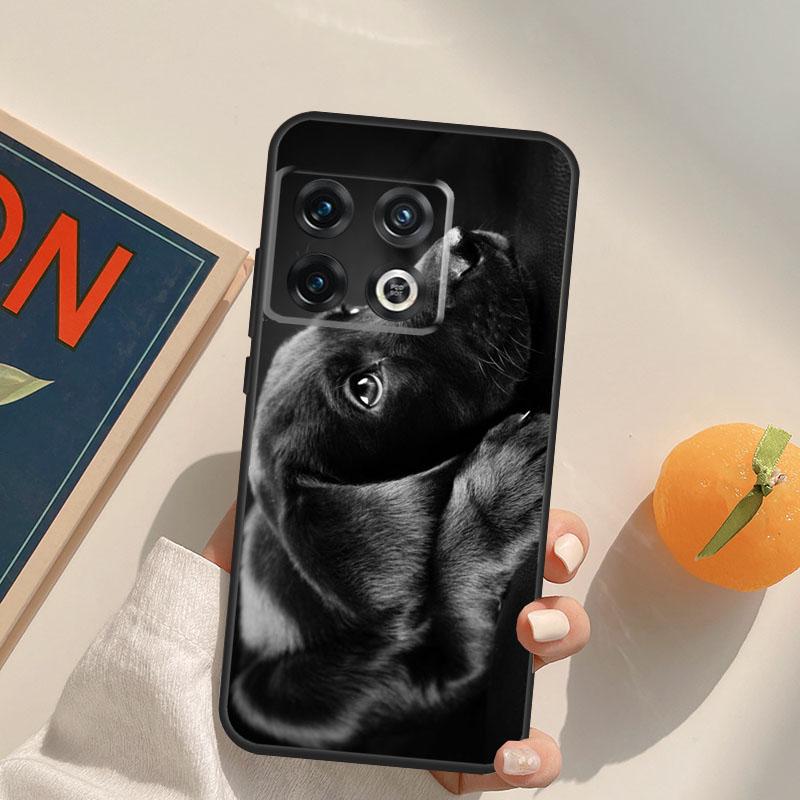 Schwarzer Labrador Retriever Tier Hund Hülle Für OnePlus 12R 13R 13T 10R 15 13 12 11 10T 8T Nord CE 4 3 2 Lite N20 N30 Nord 5 Hülle