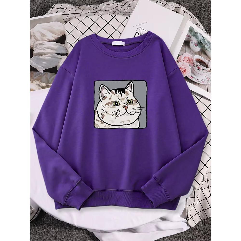 Cat Diagram Print Pullovers Autumn Basics Sweatshirt Loose Street Women Clothing Fashion Oversize Long Sleeved Crew Neck Pullover