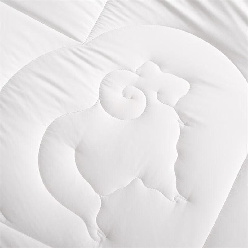 Mercury Home Textiles Australian Wool Blend Quilt