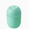 Portable Mini Air Humidifier 250ML USB Essential Oil Diffuser Quiet Mist Sprayer for Home Car Travel Use