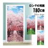 next.design Noren Noren 180cm Length Spring Cherry Blossom Row Flowers Long Length Decoration Decoration Stylish Japanese Modern Scandinavian Long