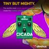 Olinthus Effects Overdrive Cicada
