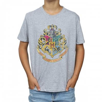 Boys Hogwarts Crest T-Shirt