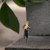 Resin Miniature Figures of Violin Players in 1/64 Scale Ideal for Long Term Decors and Artistic Projects