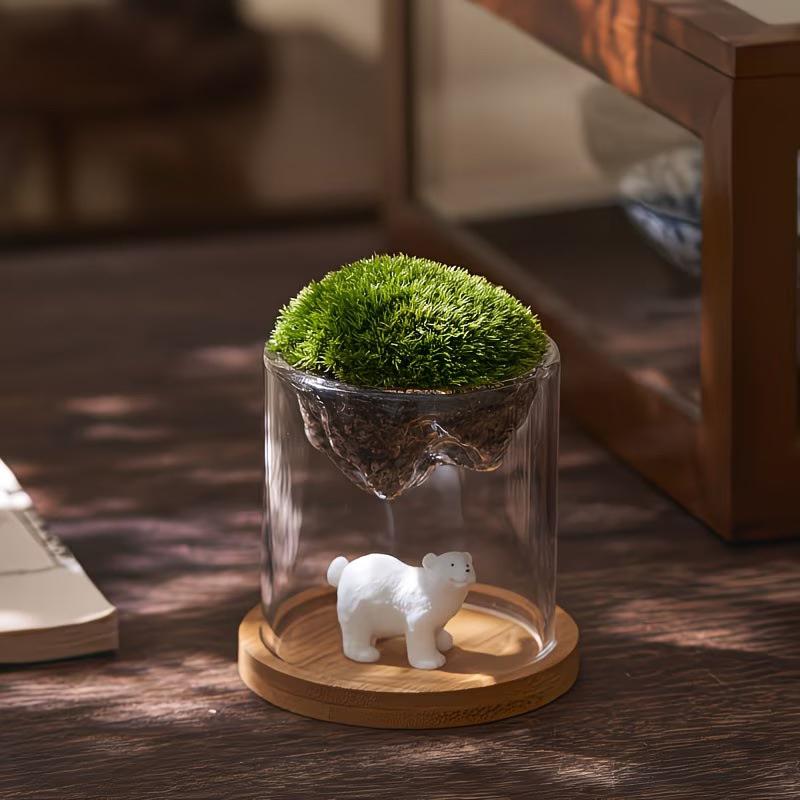 Glass Terrarium For Mountain Views Moss Planter Hydroponic Plant Container Multifunctional Cup Home Decoration Great Gift