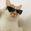 Vintage Triangular Pet Cat Sunglasses Pet Products for Small Dogs Kitten Puppy Cat Accessories Reflection Eyewear Glasses