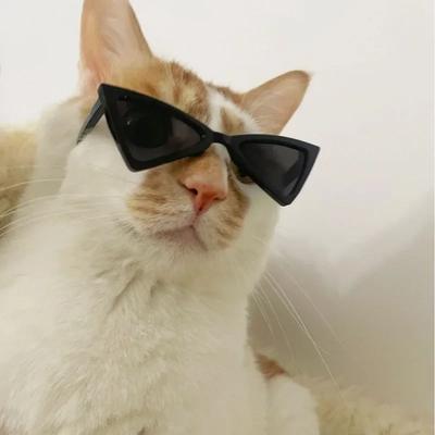 Vintage Triangular Pet Cat Sunglasses Pet Products for Small Dogs Kitten Puppy Cat Accessories Reflection Eyewear Glasses