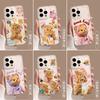 Butter bear apple 17 mobile phone case 17pro transparent 17promax cartoon 16 all-inclusive set tpu anti-drop soft case