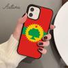 Somalisch Somalia Oromo Oromia Region Flagge Handyhülle für iPhone 11 12 13 14 Pro Max mini X XR XS SE 2020 5 6S 7 8 Plus Hülle