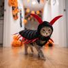 Halloween Costume Centipede, Funny Pet Outfit for Small Cats and Dogs
